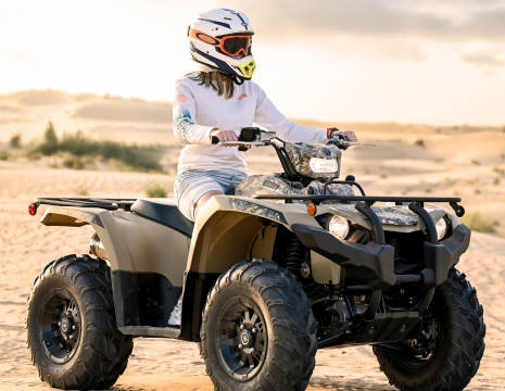 The Fort – Lisaili